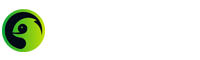 Gekkon